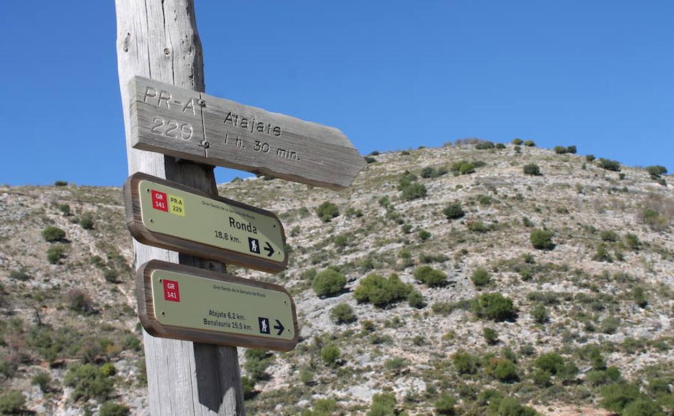 Grandes itinerarios para senderistas que se pueden recorrer en Málaga